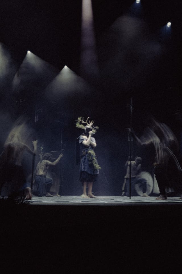 Selected work 26 from Sebastian Nordanvind's Heilung series