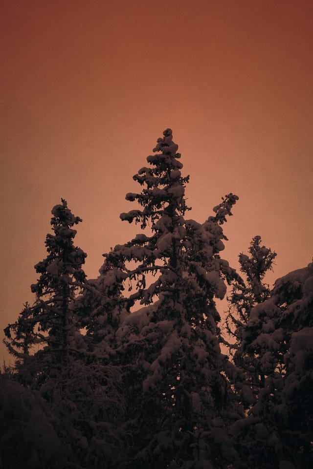 Selected work 14 from Sebastian Nordanvind's Winter Mysteries series