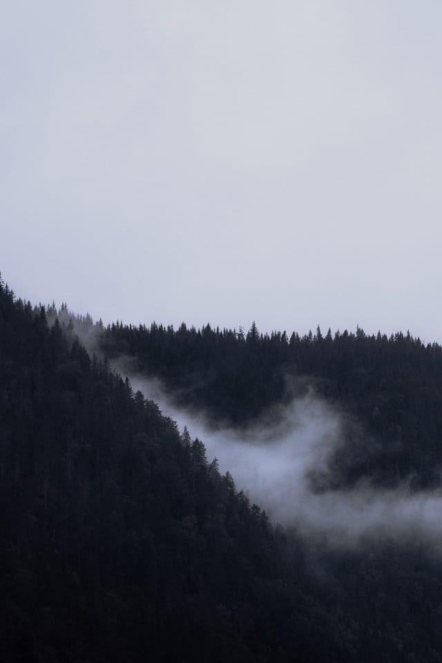 Selected work 19 from Sebastian Nordanvind's Hidden Realms series