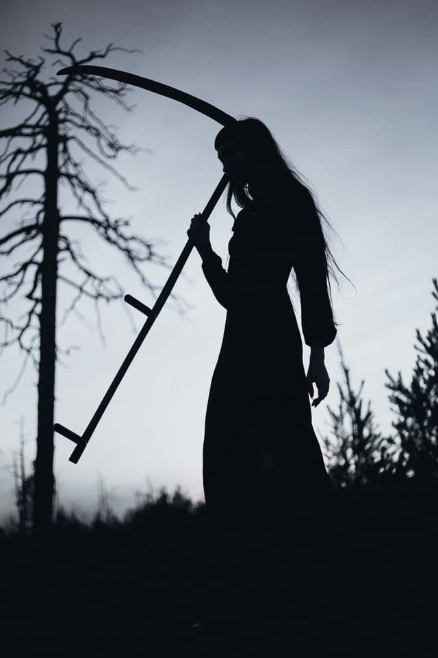 Selected work 8 from Sebastian Nordanvind's Forest of Mourning series