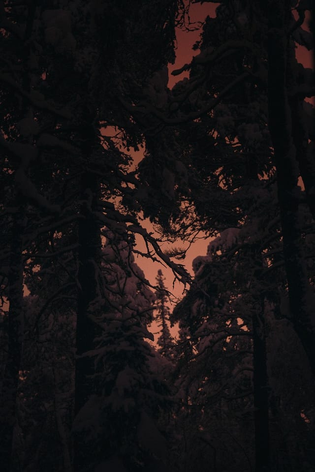 Utvalt verk 8 ur Sebastian Nordanvinds serie Winter Mysteries