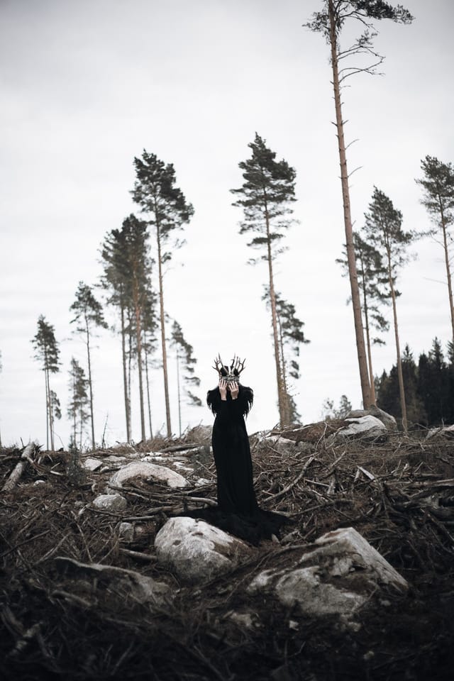 Selected work 2 from Sebastian Nordanvind's Maiden of Darkness series