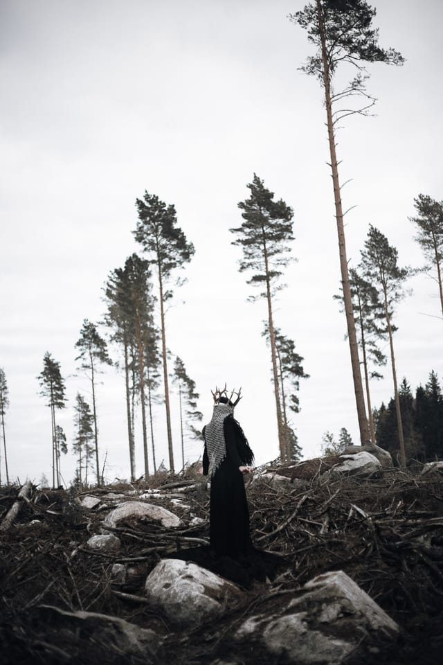 Selected work 52 from Sebastian Nordanvind's Selected Works series