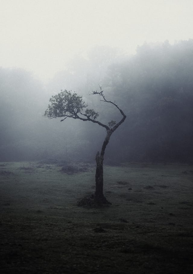 Selected work 20 from Sebastian Nordanvind's Selected Works series