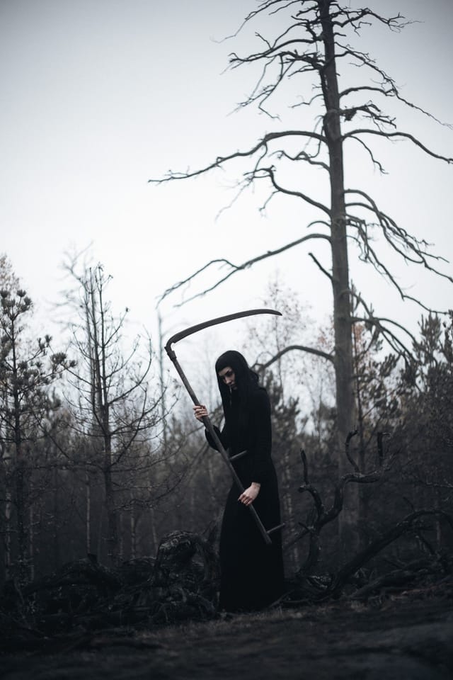 Utvalt verk 11 ur Sebastian Nordanvinds serie Forest of Mourning