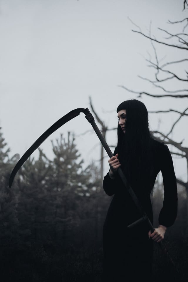 Selected work 15 from Sebastian Nordanvind's Forest of Mourning series